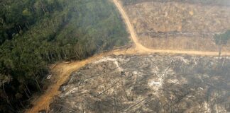 Sete de nove limites planetários atingem pior nível em 2026 e reduzem margem para evitar mudanças irreversíveis Sete de nove limites planetários atingem pior nível em 2026 e reduzem margem para evitar mudanças irreversíveis