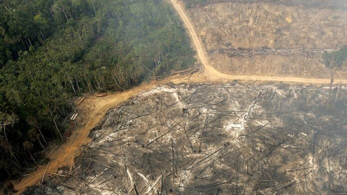 Sete de nove limites planetários atingem pior nível em 2026 e reduzem margem para evitar mudanças irreversíveis