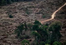 Sete limites do planeta são rompidos ao mesmo tempo, e a Amazônia aparece entre os pontos de risco Sete limites do planeta são rompidos ao mesmo tempo, e a Amazônia aparece entre os pontos de risco