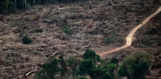 Sete limites do planeta são rompidos ao mesmo tempo, e a Amazônia aparece entre os pontos de risco Sete limites do planeta são rompidos ao mesmo tempo, e a Amazônia aparece entre os pontos de risco