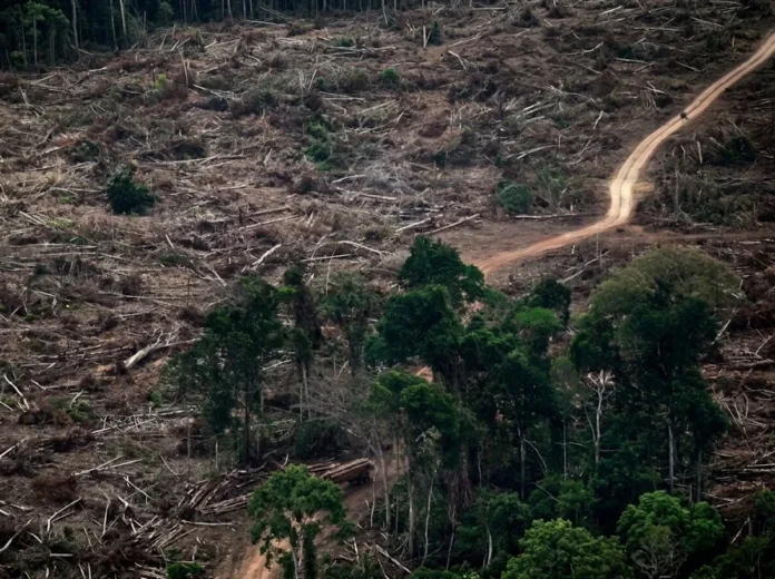 Sete limites do planeta são rompidos ao mesmo tempo, e a Amazônia aparece entre os pontos de risco Sete limites do planeta são rompidos ao mesmo tempo, e a Amazônia aparece entre os pontos de risco