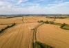 64 variedades de trigo testadas por drones revelam por que folhas verdes por mais tempo podem reduzir a resiliência 64 variedades de trigo testadas por drones revelam por que folhas verdes por mais tempo podem reduzir a resiliência