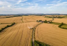 64 variedades de trigo testadas por drones revelam por que folhas verdes por mais tempo podem reduzir a resiliência 64 variedades de trigo testadas por drones revelam por que folhas verdes por mais tempo podem reduzir a resiliência