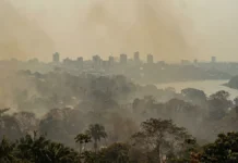 Amazonas registra 2.384 focos de calor em 19 dias de setembro, fumaça volta a cobrir Manaus e rio Negro baixa 3,41 metros Amazonas registra 2.384 focos de calor em 19 dias de setembro, fumaça volta a cobrir Manaus e rio Negro baixa 3,41 metros