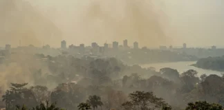 Amazonas registra 2.384 focos de calor em 19 dias de setembro, fumaça volta a cobrir Manaus e rio Negro baixa 3,41 metros Amazonas registra 2.384 focos de calor em 19 dias de setembro, fumaça volta a cobrir Manaus e rio Negro baixa 3,41 metros