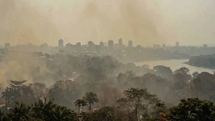 Amazonas registra 2.384 focos de calor em 19 dias de setembro, fumaça volta a cobrir Manaus e rio Negro baixa 3,41 metros Amazonas registra 2.384 focos de calor em 19 dias de setembro, fumaça volta a cobrir Manaus e rio Negro baixa 3,41 metros