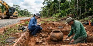 Obra de rotatória em rodovia do Amapá encontra urnas funerárias de até mil anos e revela campo gigantesco de cerâmica indígena Obra de rotatória em rodovia do Amapá encontra urnas funerárias de até mil anos e revela campo gigantesco de cerâmica indígena
