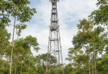 Torre de 20 metros em Capitão Poço marca o primeiro monitoramento climático de capoeira amazônica em 56 hectares Torre de 20 metros em Capitão Poço marca o primeiro monitoramento climático de capoeira amazônica em 56 hectares