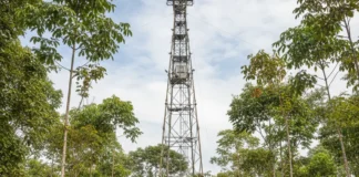 Torre de 20 metros em Capitão Poço marca o primeiro monitoramento climático de capoeira amazônica em 56 hectares Torre de 20 metros em Capitão Poço marca o primeiro monitoramento climático de capoeira amazônica em 56 hectares