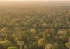 53 cientistas registram 3,2 °C a mais na estação seca do centro-norte da Amazônia longe do arco do desmatamento 53 cientistas registram 3,2 °C a mais na estação seca do centro-norte da Amazônia longe do arco do desmatamento