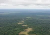 No vale do Upano, décadas de suspeita de aldeias dão lugar a sistema urbano interligado com milhares de construções revelado por laser No vale do Upano, décadas de suspeita de aldeias dão lugar a sistema urbano interligado com milhares de construções revelado por laser