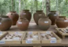 Sete urnas do Solimões guardavam ossos humanos misturados a peixes e quelônios, indicando funerais ligados a comida e ritual Sete urnas do Solimões guardavam ossos humanos misturados a peixes e quelônios, indicando funerais ligados a comida e ritual
