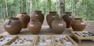 Sete urnas do Solimões guardavam ossos humanos misturados a peixes e quelônios, indicando funerais ligados a comida e ritual Sete urnas do Solimões guardavam ossos humanos misturados a peixes e quelônios, indicando funerais ligados a comida e ritual
