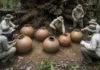 Árvore tomba em várzea de Fonte Boa e raízes expõem sete urnas funerárias indígenas durante escavação do Instituto Mamirauá Árvore tomba em várzea de Fonte Boa e raízes expõem sete urnas funerárias indígenas durante escavação do Instituto Mamirauá