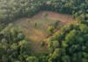 Levantamento com laser revela estruturas de terra na Amazônia e reabre a escala das sociedades que ocuparam a floresta Levantamento com laser revela estruturas de terra na Amazônia e reabre a escala das sociedades que ocuparam a floresta