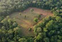 Levantamento com laser revela estruturas de terra na Amazônia e reabre a escala das sociedades que ocuparam a floresta Levantamento com laser revela estruturas de terra na Amazônia e reabre a escala das sociedades que ocuparam a floresta