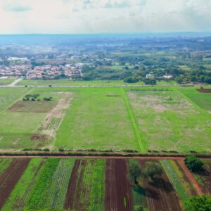 Empresas ganham 7,7 hectares na Unicamp para testar soluções agrícolas sem defensivos sintéticos Empresas ganham 7,7 hectares na Unicamp para testar soluções agrícolas sem defensivos sintéticos