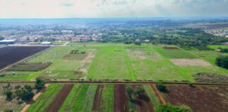 Empresas ganham 7,7 hectares na Unicamp para testar soluções agrícolas sem defensivos sintéticos Empresas ganham 7,7 hectares na Unicamp para testar soluções agrícolas sem defensivos sintéticos