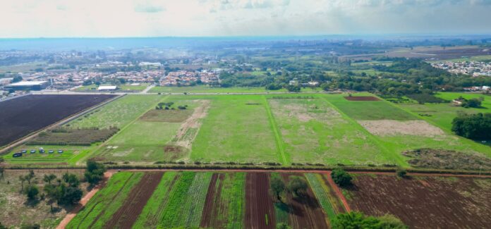 Empresas ganham 7,7 hectares na Unicamp para testar soluções agrícolas sem defensivos sintéticos Empresas ganham 7,7 hectares na Unicamp para testar soluções agrícolas sem defensivos sintéticos