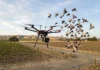 Drones que assustam aves podem ganhar mapas inteligentes para voar sem pressionar a vida selvagem Drones que assustam aves podem ganhar mapas inteligentes para voar sem pressionar a vida selvagem