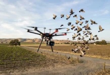 Drones que assustam aves podem ganhar mapas inteligentes para voar sem pressionar a vida selvagem Drones que assustam aves podem ganhar mapas inteligentes para voar sem pressionar a vida selvagem
