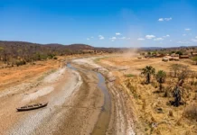 El Niño pode secar Norte e Nordeste, elevar perdas no campo e pressionar seguro rural até 2027 El Niño pode secar Norte e Nordeste, elevar perdas no campo e pressionar seguro rural até 2027