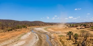 El Niño pode secar Norte e Nordeste, elevar perdas no campo e pressionar seguro rural até 2027 El Niño pode secar Norte e Nordeste, elevar perdas no campo e pressionar seguro rural até 2027