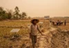 Mesmo com emissões líquidas zero, trópicos pobres podem seguir mais expostos ao aquecimento por décadas Mesmo com emissões líquidas zero, trópicos pobres podem seguir mais expostos ao aquecimento por décadas