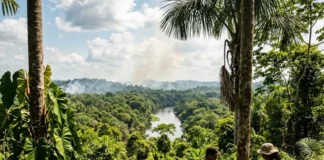 Trópicos podem continuar mais quentes por décadas após o net zero, enquanto países pobres esperam alívio Trópicos podem continuar mais quentes por décadas após o net zero, enquanto países pobres esperam alívio