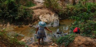 El Niño pode elevar mortes pelo calor para 450 mil até fevereiro, com Brasil entre os países mais atingidos El Niño pode elevar mortes pelo calor para 450 mil até fevereiro, com Brasil entre os países mais atingidos