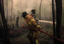 El Niño bate recorde no Pacífico semanas antes do pico e eleva risco de seca, fogo e chuva extrema El Niño bate recorde no Pacífico semanas antes do pico e eleva risco de seca, fogo e chuva extrema