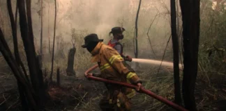El Niño bate recorde no Pacífico semanas antes do pico e eleva risco de seca, fogo e chuva extrema El Niño bate recorde no Pacífico semanas antes do pico e eleva risco de seca, fogo e chuva extrema