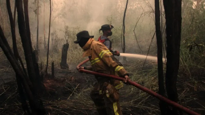El Niño bate recorde no Pacífico semanas antes do pico e eleva risco de seca, fogo e chuva extrema El Niño bate recorde no Pacífico semanas antes do pico e eleva risco de seca, fogo e chuva extrema