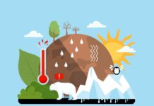 Para conter o aquecimento em 1,5°C, indústria e famílias terão de agir, mas estudo mostra o peso desigual Para conter o aquecimento em 1,5°C, indústria e famílias terão de agir, mas estudo mostra o peso desigual