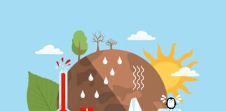 Para conter o aquecimento em 1,5°C, indústria e famílias terão de agir, mas estudo mostra o peso desigual Para conter o aquecimento em 1,5°C, indústria e famílias terão de agir, mas estudo mostra o peso desigual