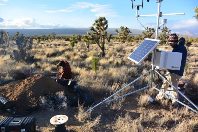 Solo do deserto absorve CO2 à noite e devolve gás ao amanhecer, revela ciclo oculto em minerais Solo do deserto absorve CO2 à noite e devolve gás ao amanhecer, revela ciclo oculto em minerais