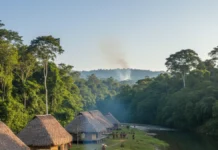 Estudo reúne dados de nove países amazônicos entre 2000 e 2019 e relaciona terras indígenas protegidas à melhora da saúde Estudo reúne dados de nove países amazônicos entre 2000 e 2019 e relaciona terras indígenas protegidas à melhora da saúde