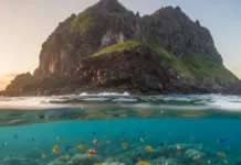 Estudo analisa mais de 7 mil peixes em 87 ilhas e propõe reconhecer espécies compartilhadas como exclusivas de regiões oceânicas brasileiras Estudo analisa mais de 7 mil peixes em 87 ilhas e propõe reconhecer espécies compartilhadas como exclusivas de regiões oceânicas brasileiras