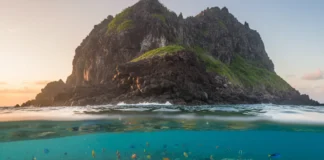 Estudo analisa mais de 7 mil peixes em 87 ilhas e propõe reconhecer espécies compartilhadas como exclusivas de regiões oceânicas brasileiras Estudo analisa mais de 7 mil peixes em 87 ilhas e propõe reconhecer espécies compartilhadas como exclusivas de regiões oceânicas brasileiras