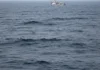 Pesquisadores estimam 230 mil toneladas de mercúrio nos oceanos por 300 anos e alertam que o calor favorece a produção de metilmercúrio Pesquisadores estimam 230 mil toneladas de mercúrio nos oceanos por 300 anos e alertam que o calor favorece a produção de metilmercúrio