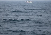 Pesquisadores estimam 230 mil toneladas de mercúrio nos oceanos por 300 anos e alertam que o calor favorece a produção de metilmercúrio Pesquisadores estimam 230 mil toneladas de mercúrio nos oceanos por 300 anos e alertam que o calor favorece a produção de metilmercúrio