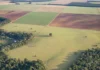 Sítios arqueológicos brasileiros têm entorno de 100 metros cada vez mais marcado por usos humanos e agropecuária assume maior parcela após 40 anos Sítios arqueológicos brasileiros têm entorno de 100 metros cada vez mais marcado por usos humanos e agropecuária assume maior parcela após 40 anos