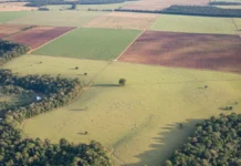 Sítios arqueológicos brasileiros têm entorno de 100 metros cada vez mais marcado por usos humanos e agropecuária assume maior parcela após 40 anos Sítios arqueológicos brasileiros têm entorno de 100 metros cada vez mais marcado por usos humanos e agropecuária assume maior parcela após 40 anos