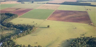 Sítios arqueológicos brasileiros têm entorno de 100 metros cada vez mais marcado por usos humanos e agropecuária assume maior parcela após 40 anos Sítios arqueológicos brasileiros têm entorno de 100 metros cada vez mais marcado por usos humanos e agropecuária assume maior parcela após 40 anos