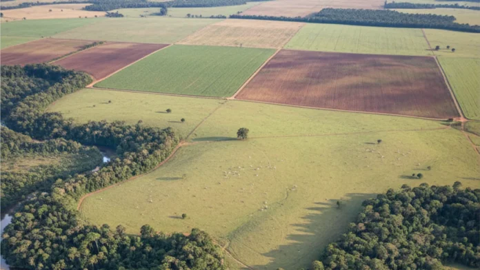 Sítios arqueológicos brasileiros têm entorno de 100 metros cada vez mais marcado por usos humanos e agropecuária assume maior parcela após 40 anos Sítios arqueológicos brasileiros têm entorno de 100 metros cada vez mais marcado por usos humanos e agropecuária assume maior parcela após 40 anos