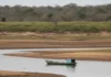 Rio Paraguai atinge mínima histórica após déficit de 395 milímetros de chuva e deixa Pantanal sob recuperação lenta até novembro Rio Paraguai atinge mínima histórica após déficit de 395 milímetros de chuva e deixa Pantanal sob recuperação lenta até novembro