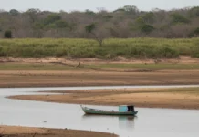 Rio Paraguai atinge mínima histórica após déficit de 395 milímetros de chuva e deixa Pantanal sob recuperação lenta até novembro Rio Paraguai atinge mínima histórica após déficit de 395 milímetros de chuva e deixa Pantanal sob recuperação lenta até novembro