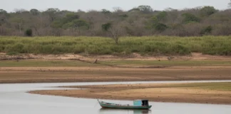 Rio Paraguai atinge mínima histórica após déficit de 395 milímetros de chuva e deixa Pantanal sob recuperação lenta até novembro Rio Paraguai atinge mínima histórica após déficit de 395 milímetros de chuva e deixa Pantanal sob recuperação lenta até novembro