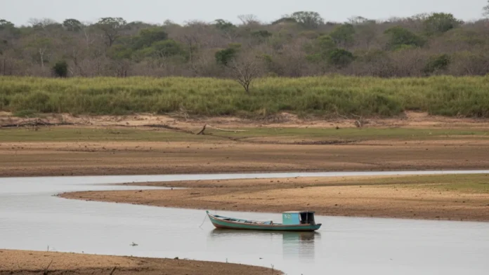 Rio Paraguai atinge mínima histórica após déficit de 395 milímetros de chuva e deixa Pantanal sob recuperação lenta até novembro Rio Paraguai atinge mínima histórica após déficit de 395 milímetros de chuva e deixa Pantanal sob recuperação lenta até novembro