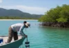 Projeto coleta água em 20 pontos de uma reserva e dez de outra na Bahia para mapear fauna marinha por DNA ambiental sem capturar animais Projeto coleta água em 20 pontos de uma reserva e dez de outra na Bahia para mapear fauna marinha por DNA ambiental sem capturar animais
